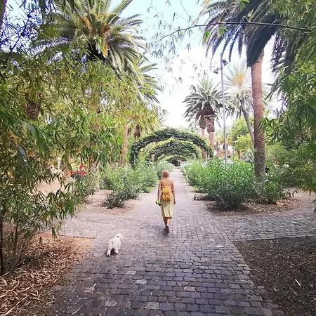 Home2book Chic & Bright Residencial Anaga Apartment Santa Cruz de Tenerife