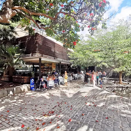 Home2book Chic & Bright Residencial Anaga Apartment