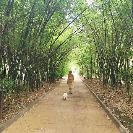 Apartment Home2book Chic & Bright Residencial Anaga Santa Cruz de Tenerife